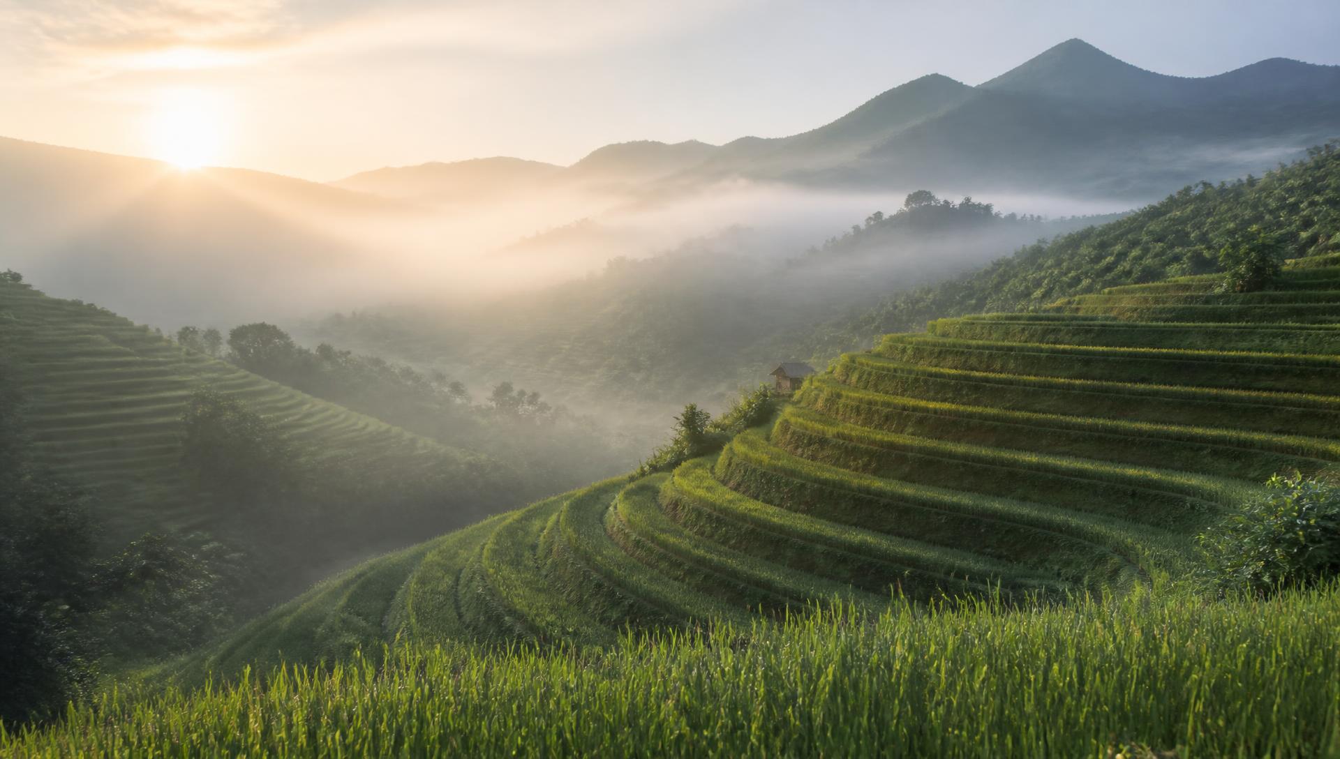 Terraced hillsides at sunrise